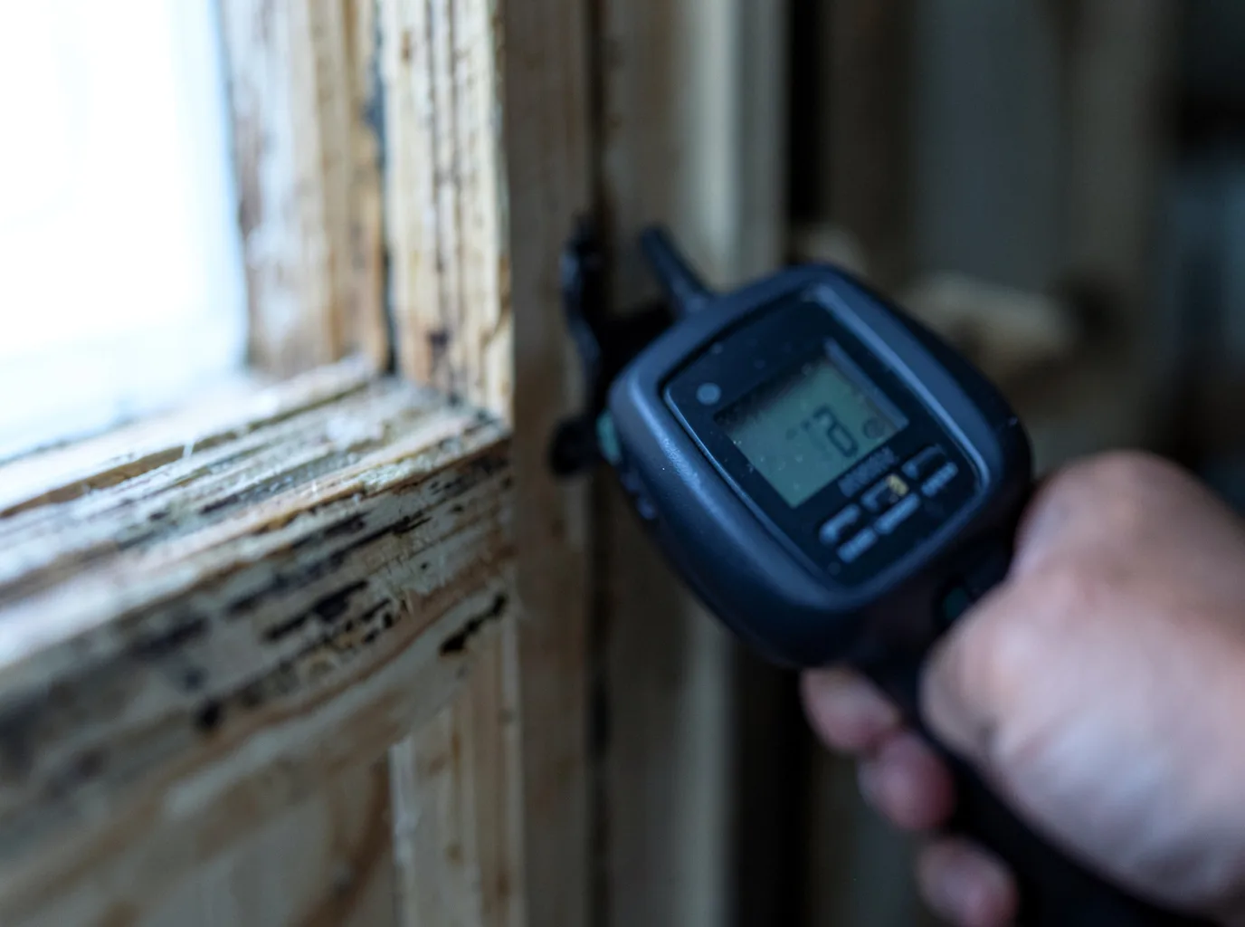 Moisture Inspection And Documentation in Melrose, LA